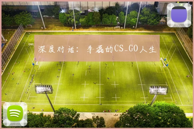 深度对话：李磊的CS_GO人生