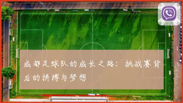 成都足球队的成长之路：挑战赛背后的拼搏与梦想