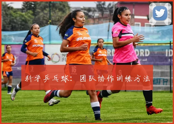 科学乒乓球：团队协作训练方法