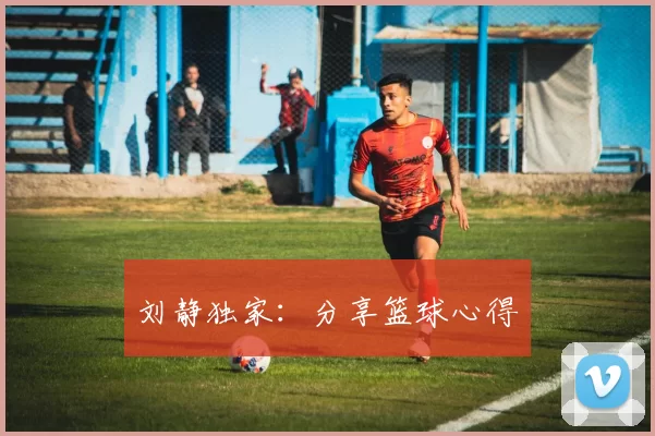 刘静独家：分享篮球心得