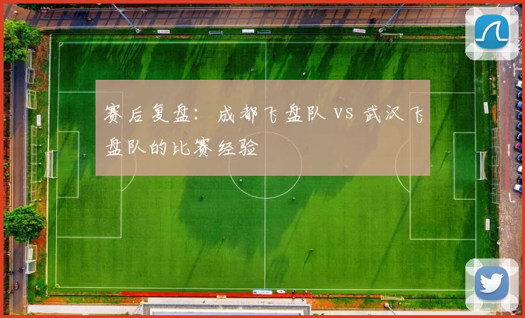 赛后复盘：成都飞盘队 vs 武汉飞盘队的比赛经验