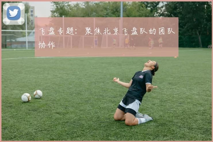 飞盘专题：聚焦北京飞盘队的团队协作