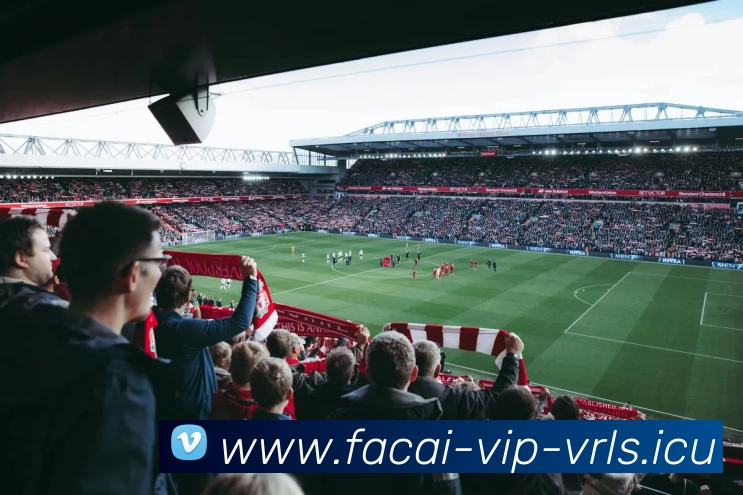 MK体育平台生态图